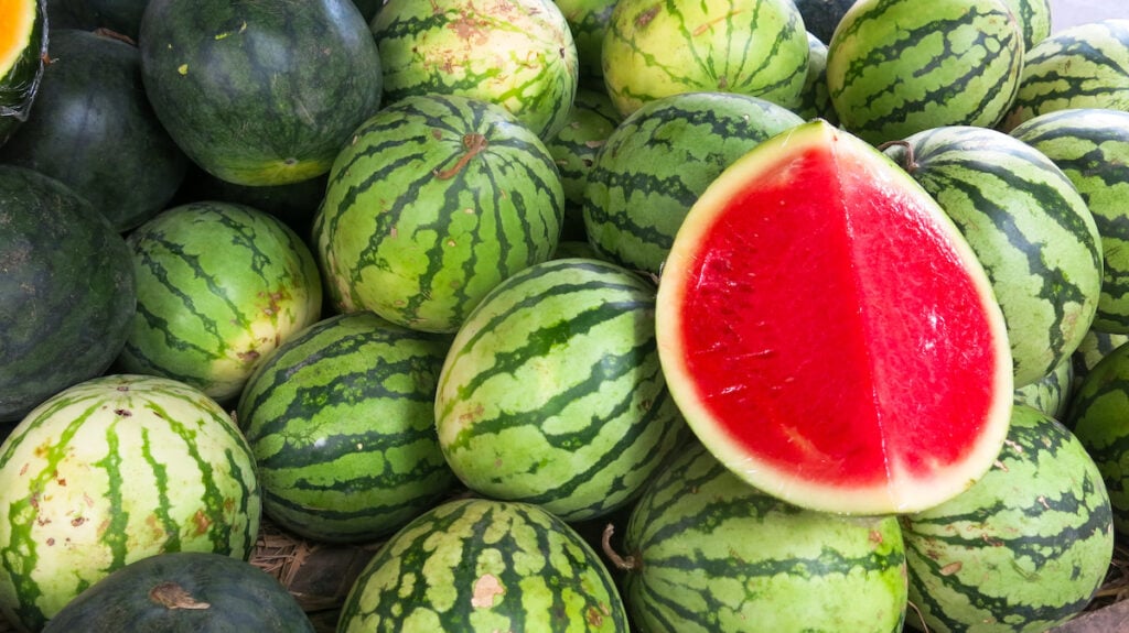 A pile of whole green watermelons with one watermelon cut in half to reveal its red flesh, showcasing how to pick a good watermelon.