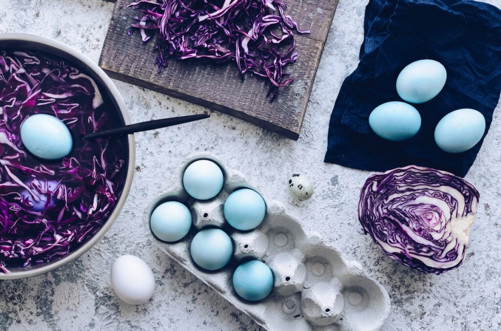 Dyed blue eggs in and out of a carton next to red cabbage and a bowl of red cabbage dye on a textured surface, showcasing how to dye Easter eggs naturally.
