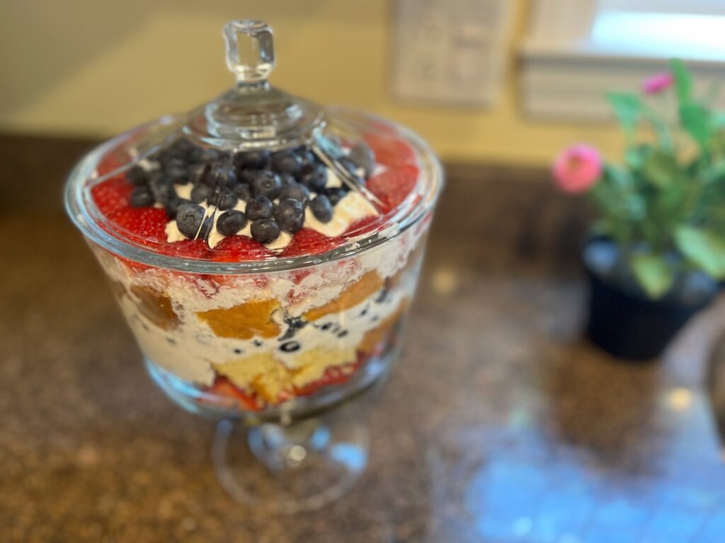 A glass trifle bowl filled with layers of cake, whipped cream, strawberries, and blueberries, placed on a granite countertop beside a potted pink flower.