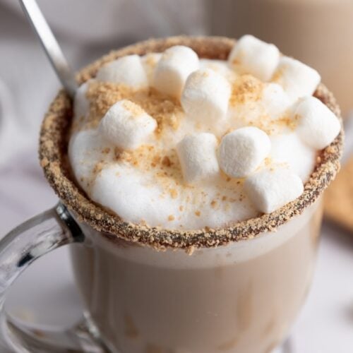 A glass mug filled with hot chocolate topped with frothy milk, mini marshmallows, and a sprinkle of crushed graham crackers.