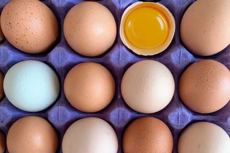 A cardboard egg tray displays a mix of brown eggs and one pale blue, with a yolk spilling from a broken shell. They’re perfect for any recipe or to freeze raw eggs for future use.
