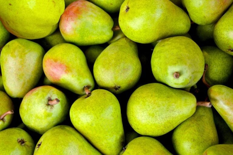 A pile of green pears with some red blush, featuring smooth skins and brown stems, closely packed together.