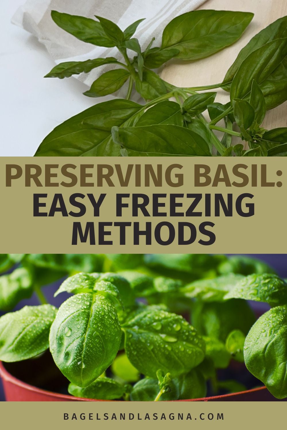 How to Cook with Fresh Basil