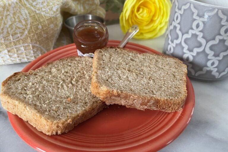 Two slices of whole grain bread on a red plate, accompanied by a small jar of jam with a spoon. A gray patterned mug and a yellow flower are in the background.