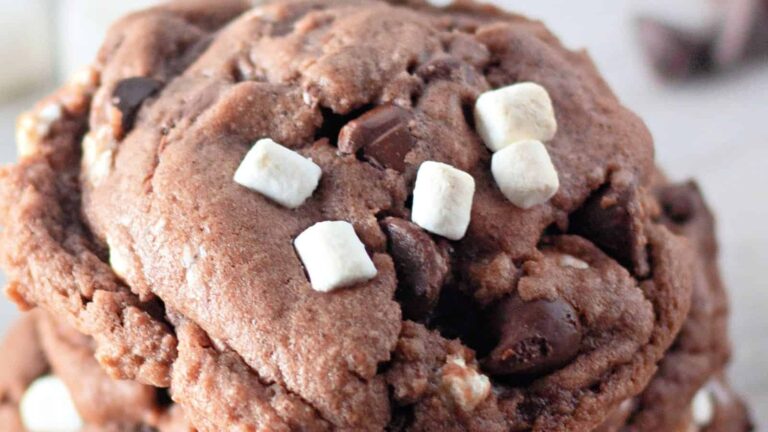Close-up of a chocolate cookie with chocolate chips and small white marshmallows on top.